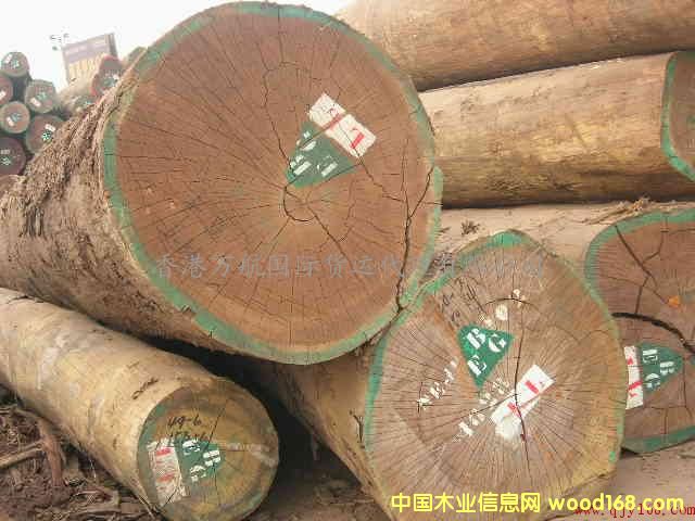 �c(di��n)���鿴ľ���Ϻ��M(j��n)�ڈ�(b��o)�P(gu��n)����/ľ���M(j��n)������/�Ϻ�����ľ���M(j��n)���̙z�Ŵ�DƬ