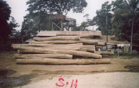 �c(di��n)���鿴��܇����ԭľ�Ŵ�DƬ