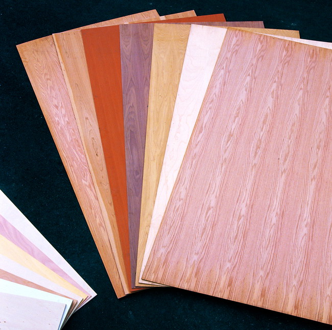 �c(di��n)���鿴��ɭ��֮�ǡ�����Ŵ�DƬ