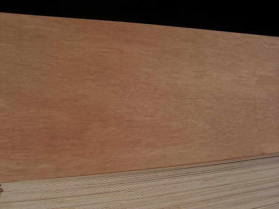 �c���鿴���ǹ��Ŵ�DƬ