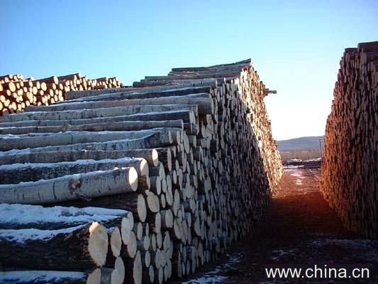 ��ľԭľ����ĵ�Ԕ����B