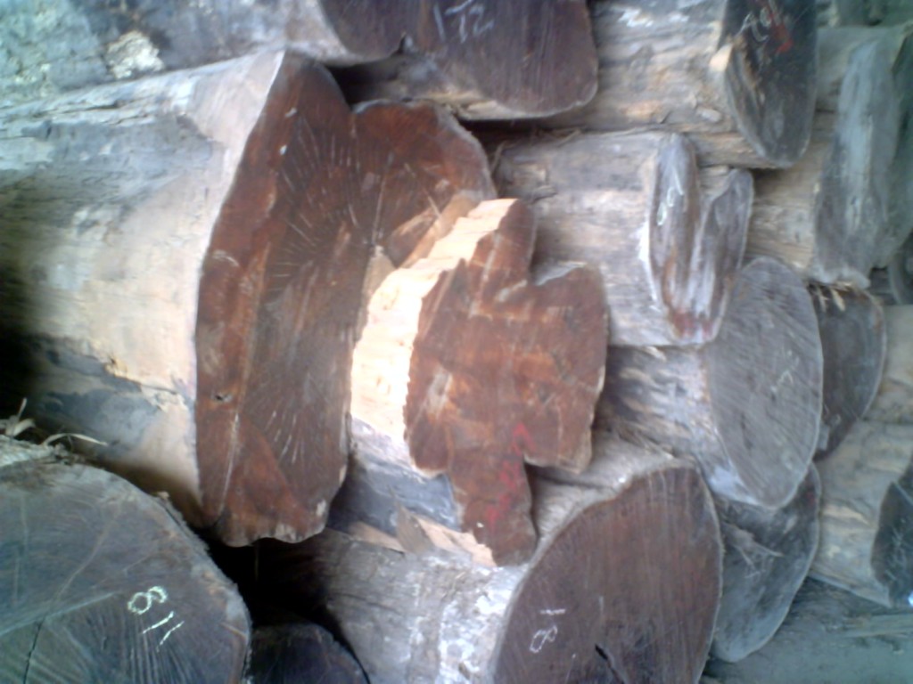 ��ľԭľ����Ĵ󷽵�Ԕ����B