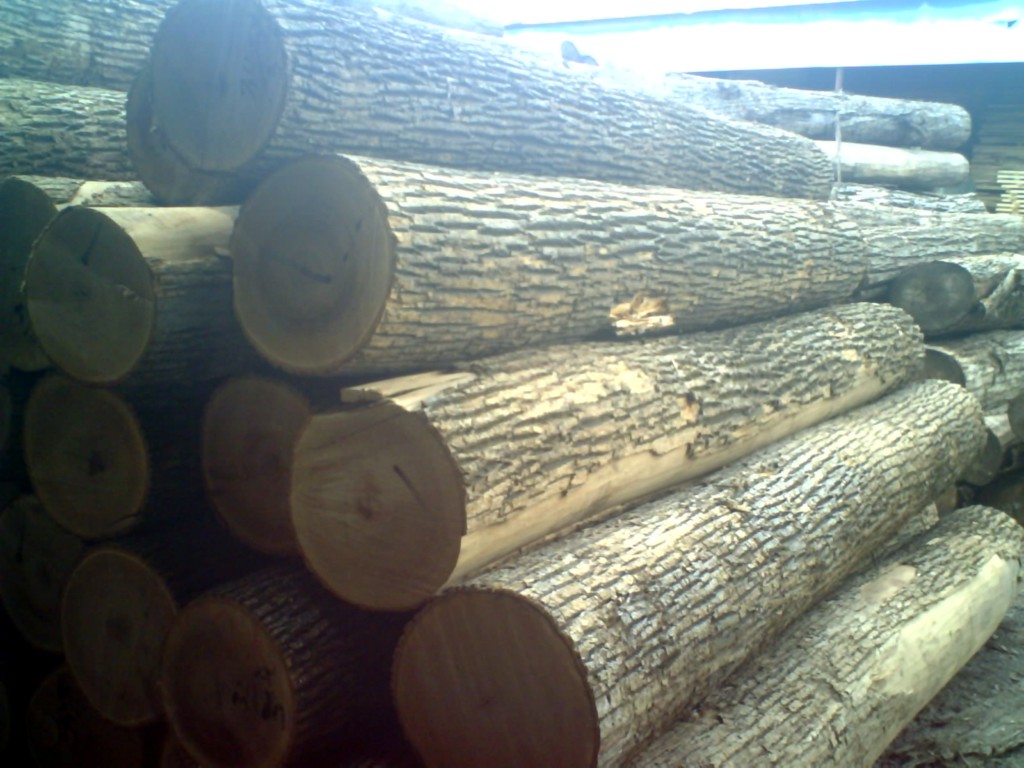 ˮ����ԭľ����ĵ�Ԕ����B