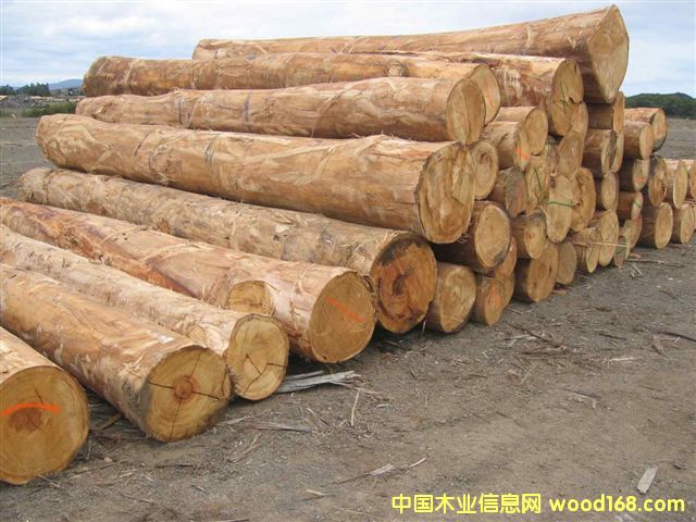 �ϷǼt̴ԭľ��Ԕ��(x��)��B