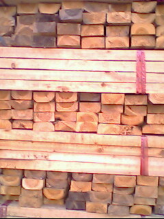 �c���鿴ɼľ�Ŵ�DƬ