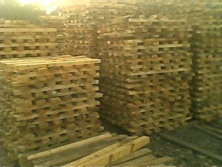 �c���鿴��ľ���l�Ŵ�DƬ