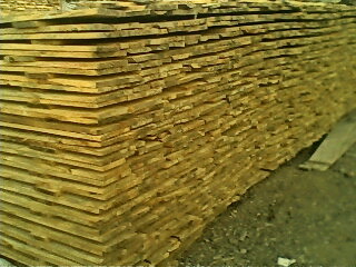 �c���鿴��ľ��Ŵ�DƬ