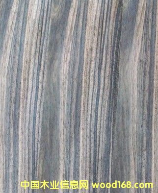 �c���鿴ӡ����̴sonokeling�Ŵ�DƬ