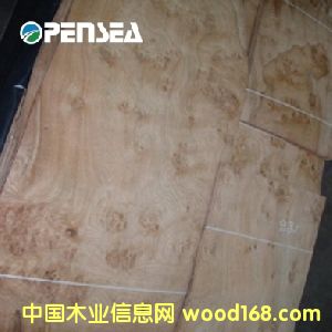 ��ľ����ľƤ��Ԕ��(x��)��B