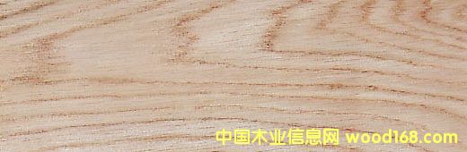 ���������Ԕ��(x��)��B