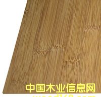 �c(di��n)���鿴���Ŵ�DƬ