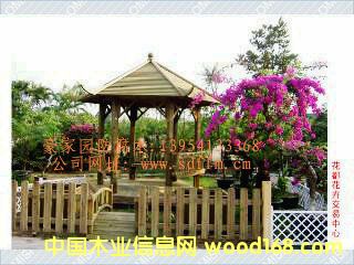 ���Ϸ���ľ��ͤ����