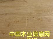 �o���ذ��Ԕ��(x��)��B