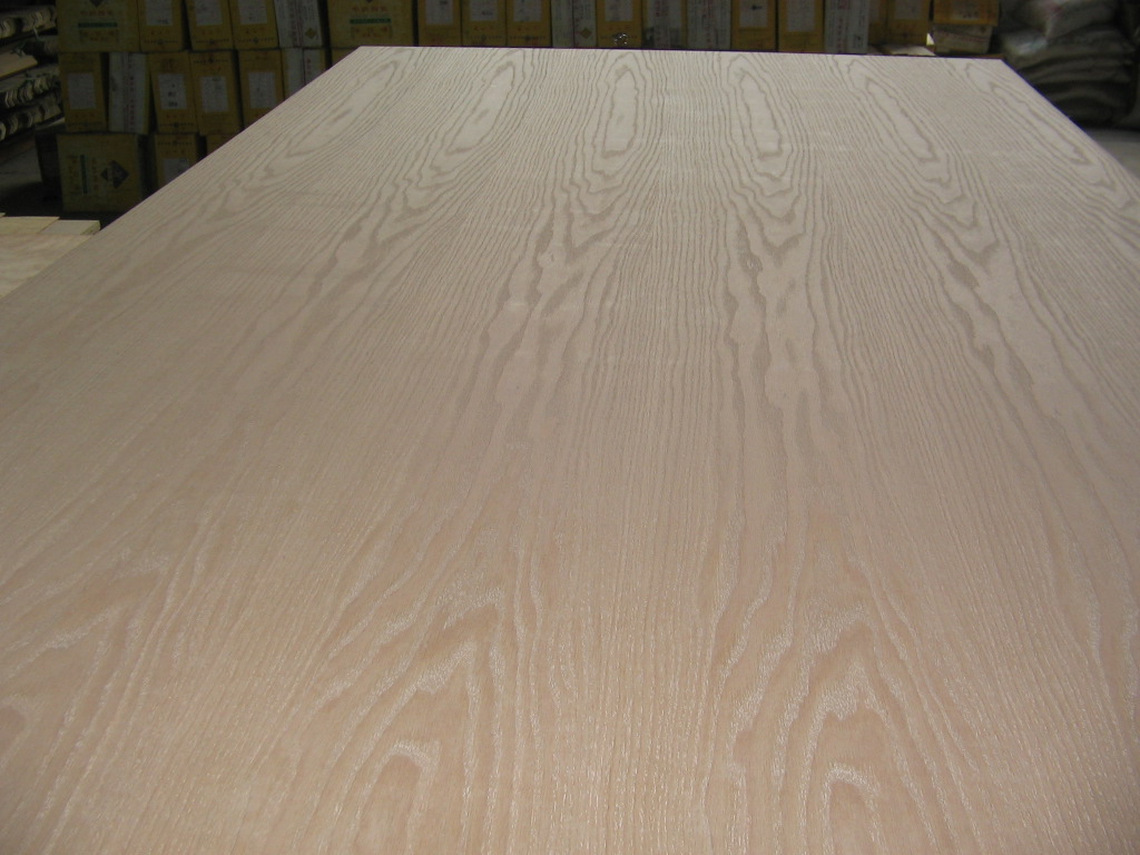 �N����Ԕ��(x��)��B