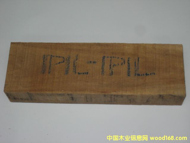 ���}��ľ��IPIL-IPIL����Ԕ��(x��)��B