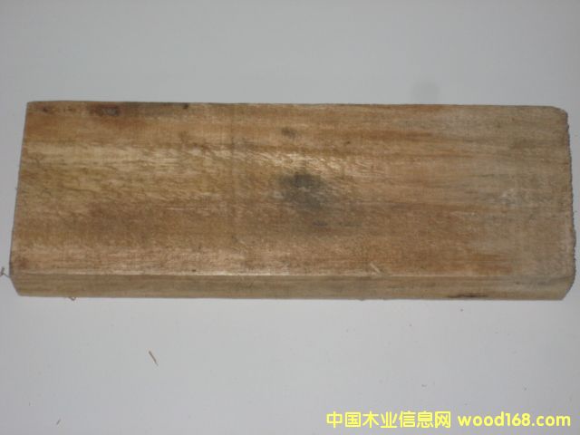 �����ף�FALCATA����Ԕ��(x��)��B