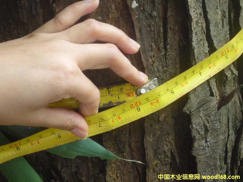 �c���鿴�t����Ŵ�DƬ