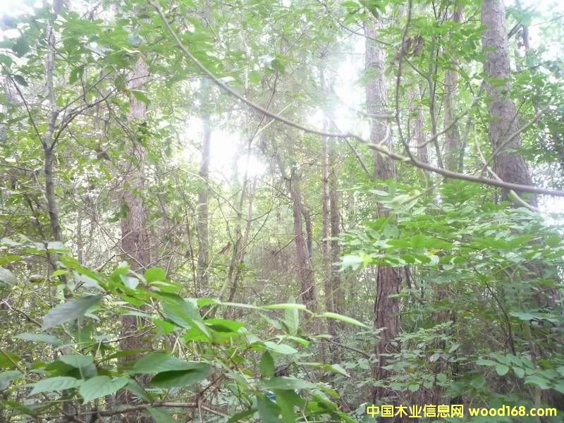 �c���鿴��Ƭ���ɘ�Ŵ�DƬ