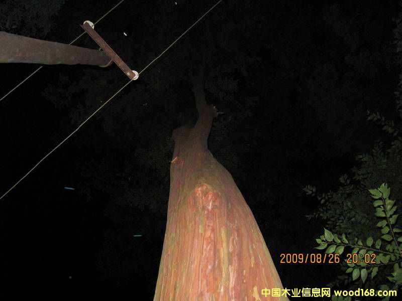 �c���鿴���G��Ŵ�DƬ