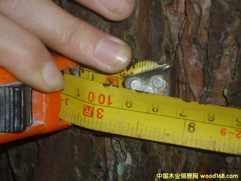 �c���鿴�t����Ŵ�DƬ