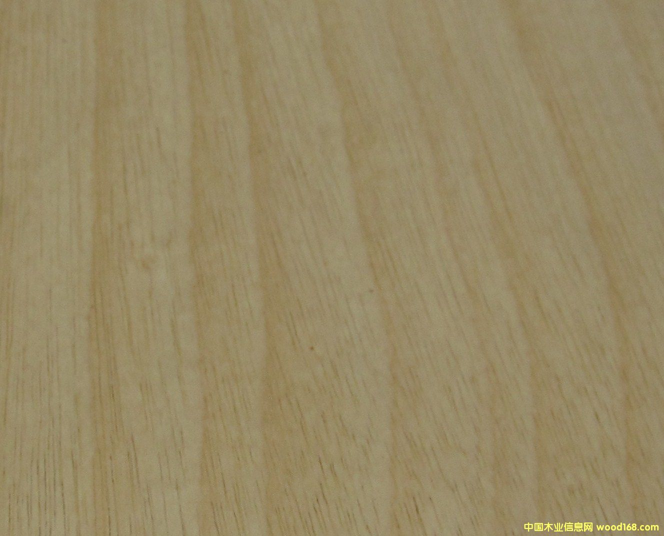 �����Ԕ��(x��)��B