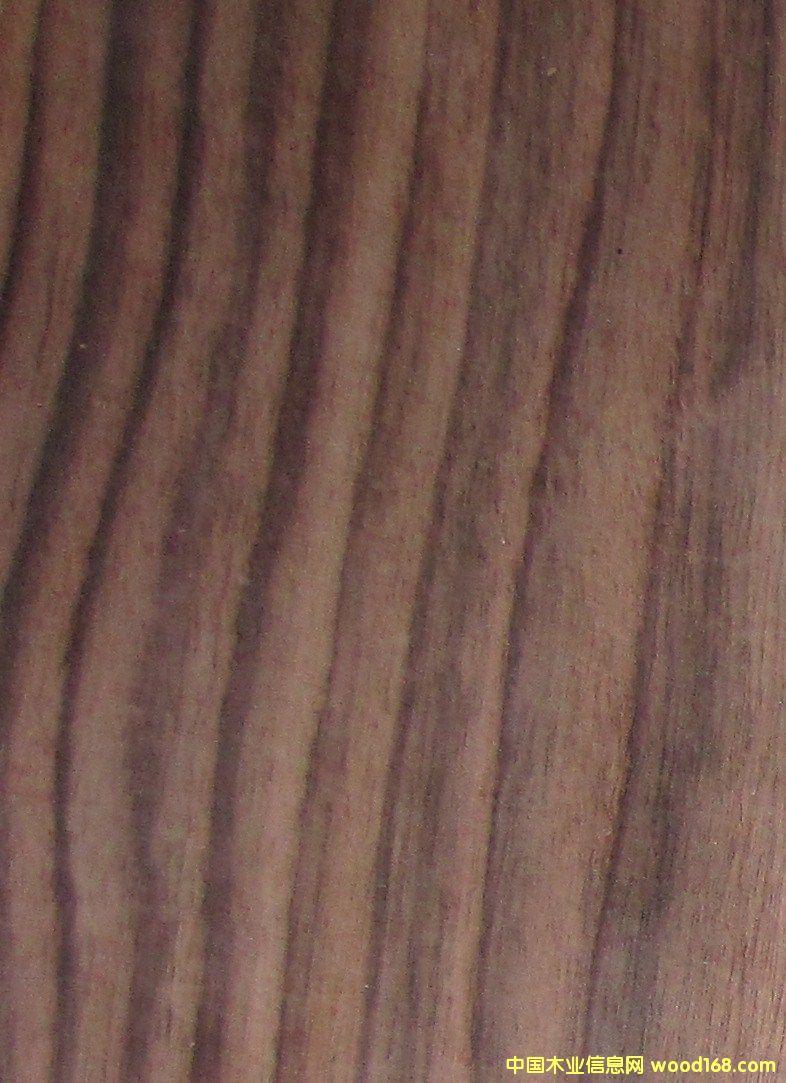 ��̴��Ԕ��(x��)��B