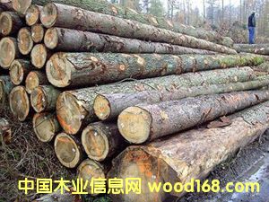 ����ľ�ĵ�Ԕ����B