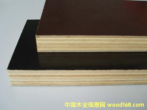 �c(di��n)���鿴film faced plywood�Ŵ�DƬ