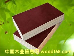 �c(di��n)���鿴film faced plywood�Ŵ�DƬ