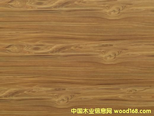 ��(qi��ng)��ľ�ذ塢���ӌ�(sh��)ľ�ذ�����(sh��)ľ�ذ��Ԕ��(x��)��B