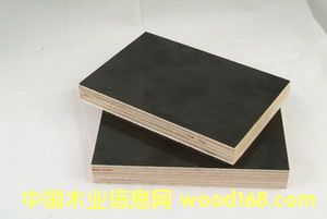 ����ģ���Ԕ����B