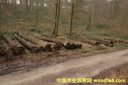 ��������ľ��Ԕ����B