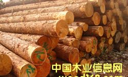 ���~��ԭľ��Ԕ����B