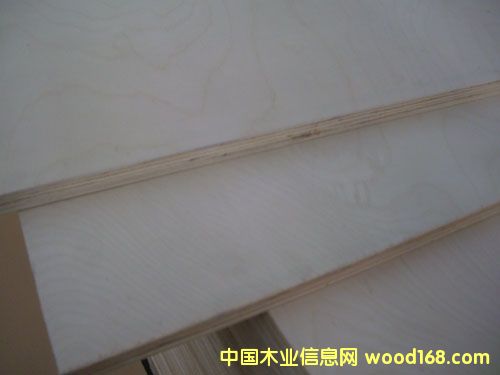 �c���鿴��ľ�z�ϰ�Ŵ�DƬ