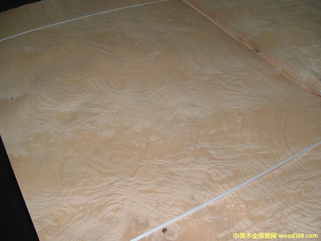 ��Ԫ��(sh��)����Ԕ��(x��)��B