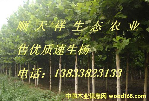 ��(y��u)�|(zh��)��������ľ��Ԕ����B