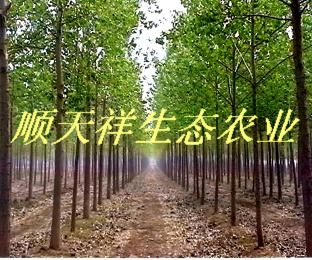 ��(y��u)�|(zh��)��������ľ��Ԕ����B