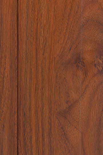 �c(di��n)���鿴353�Ŵ�DƬ