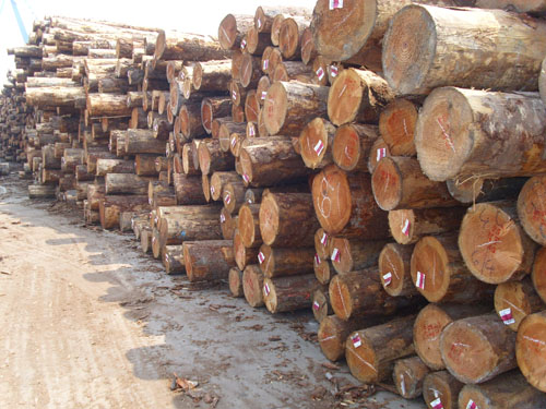 ����ľ�ĳ��ڵ�Ԕ��(x��)��B