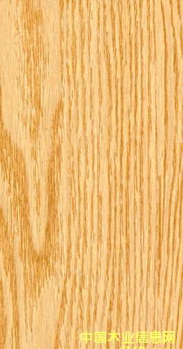 �G��ذ�-���ֹ��¹ŵذ��Ԕ��(x��)��B