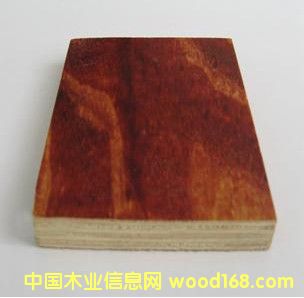 �t�z���Ԕ��(x��)��B