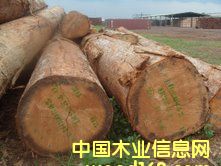 ����˹ԭľ��B+��(j��)��Ԕ��(x��)��B