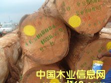 ����˹ԭľ��B+��(j��)��Ԕ��(x��)��B