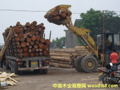 �c���鿴��ͨľ�����l(f��)�Ŵ�DƬ