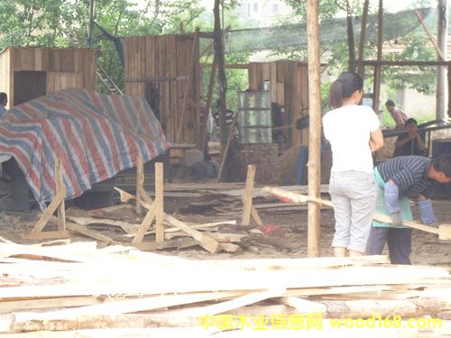 �c���鿴��ͨ�ӹ�ľ�ķŴ�DƬ