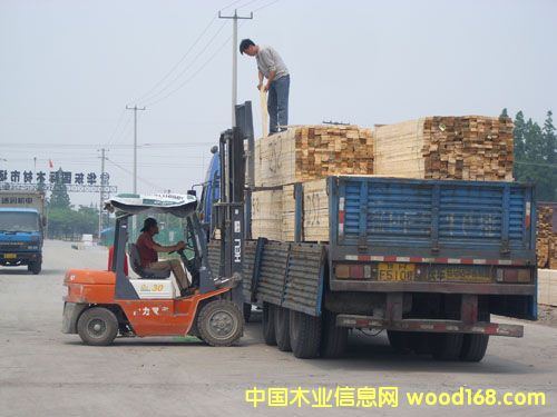 �c���鿴��ͨľ�ĳ�Ʒ�Ŵ�DƬ