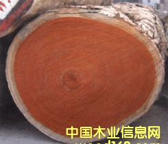 �t�����Ԕ��(x��)��B