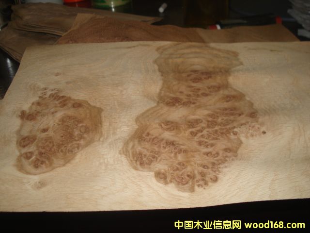 0.6���������Ԕ����B