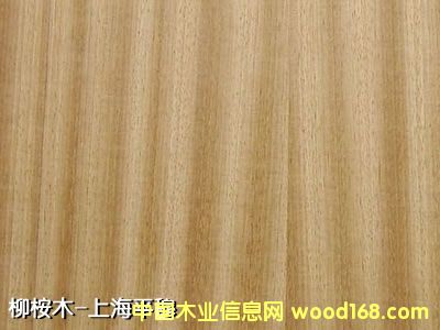 ����ľ��Ԕ��(x��)��B