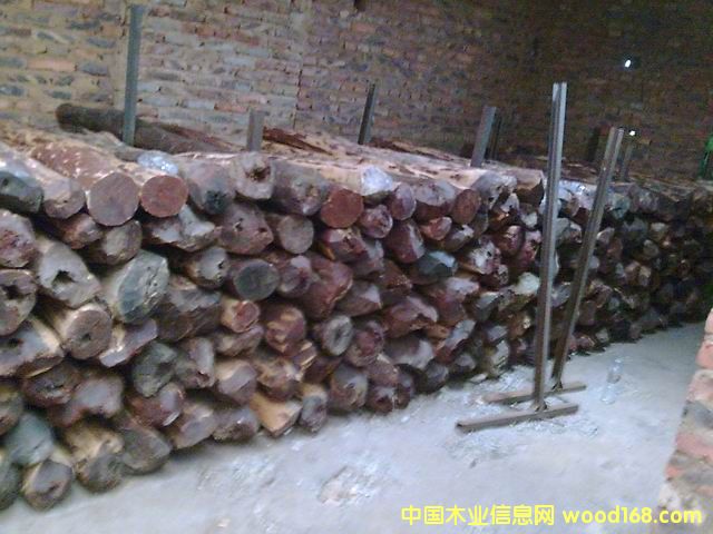 ӡ��С�~��̴ľ��Ԕ����B